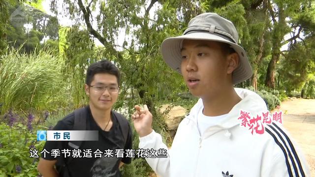 昆明植物园花期__昆明植物园春天的景色