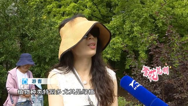 _昆明植物园花期_昆明植物园春天的景色