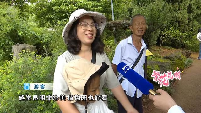 昆明植物园花期__昆明植物园春天的景色