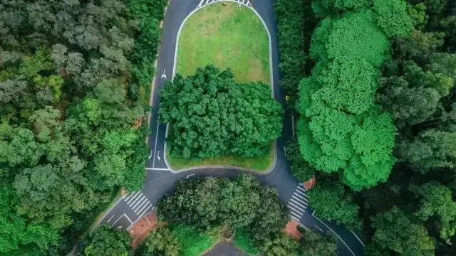 _广州职业学校2021招生大专_广州职业技术学校本科