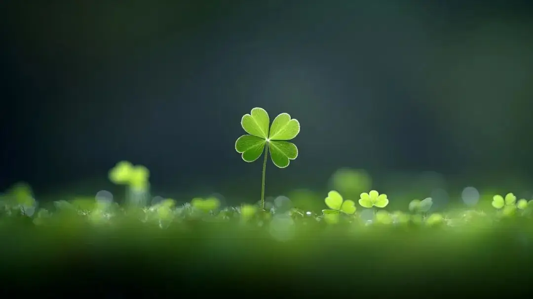 教师园地 | 致教师：做一个永远相信自己的人__教师园地 | 致教师：做一个永远相信自己的人