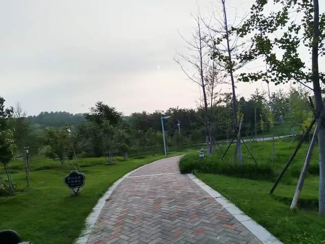 _高中孩子走出厌学摆烂，自主意识，胜任感和价值感以及行动最重要_高中孩子走出厌学摆烂，自主意识，胜任感和价值感以及行动最重要