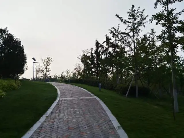 高中孩子走出厌学摆烂，自主意识，胜任感和价值感以及行动最重要__高中孩子走出厌学摆烂，自主意识，胜任感和价值感以及行动最重要