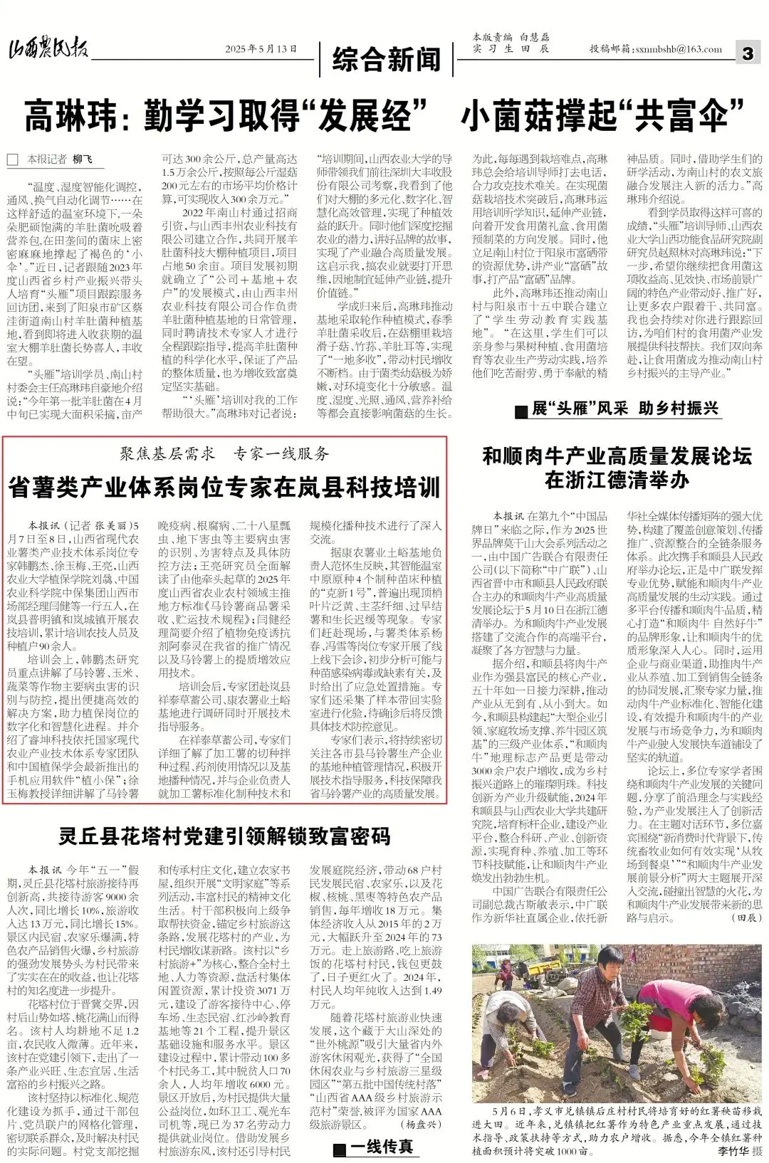 【社会服务助推农业高质量发展】省薯类产业体系岗位专家在岚县科技培训
