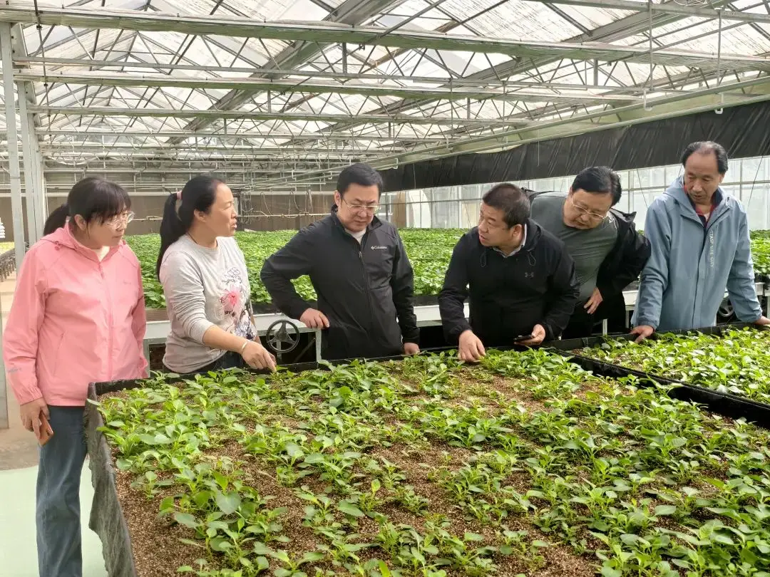 _在农业科技培训会上的讲话_开展农业科技培训