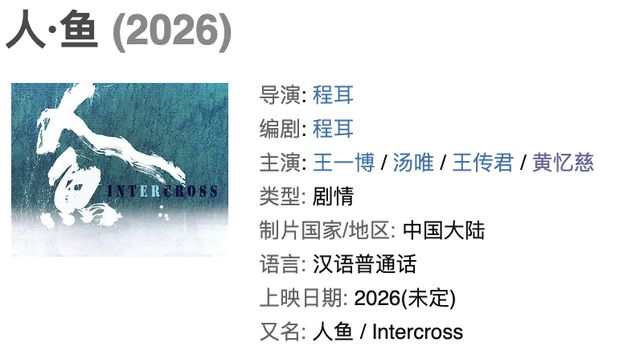 黄多多搭档王一博汤唯出道引骂战！被网暴十年的星二代能逆袭吗？