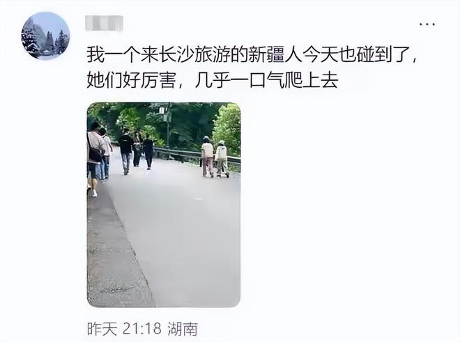_谢娜超短裤_谢娜穿短裤