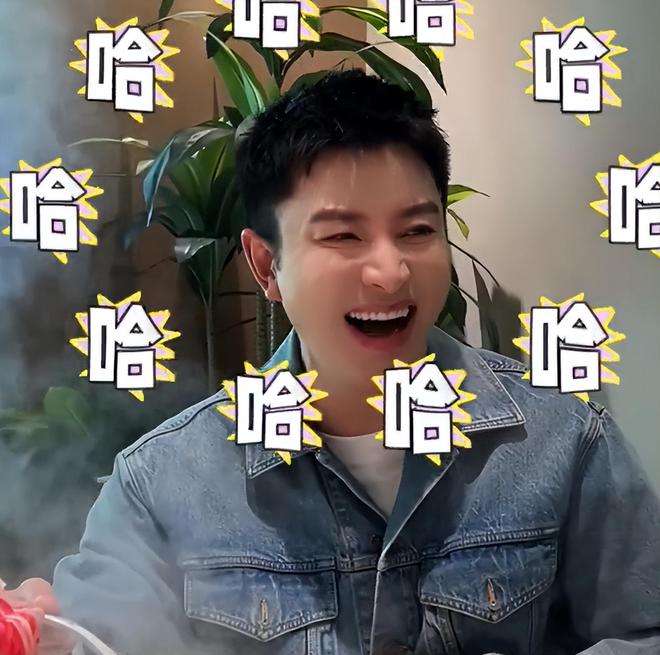 _贾乃亮旧照_贾乃亮越来越火
