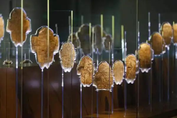 中华文明的瑰宝_惠泽后世什么意思_