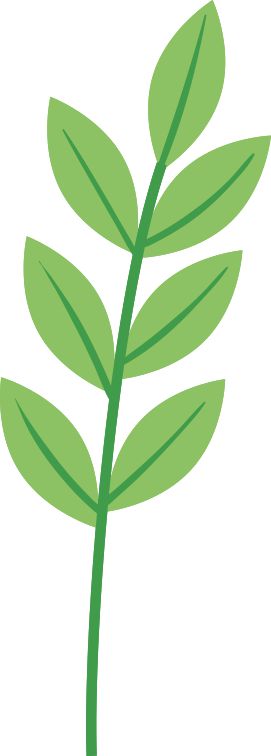 深圳夏日“顶流”回归！快来赏荷打卡了__深圳夏日“顶流”回归！快来赏荷打卡了