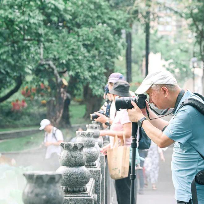 深圳夏日“顶流”回归！快来赏荷打卡了_深圳夏日“顶流”回归！快来赏荷打卡了_