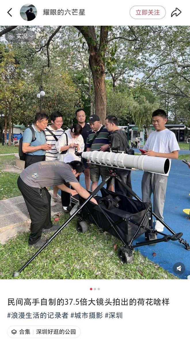 深圳夏日“顶流”回归！快来赏荷打卡了__深圳夏日“顶流”回归！快来赏荷打卡了