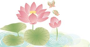 深圳夏日“顶流”回归！快来赏荷打卡了__深圳夏日“顶流”回归！快来赏荷打卡了