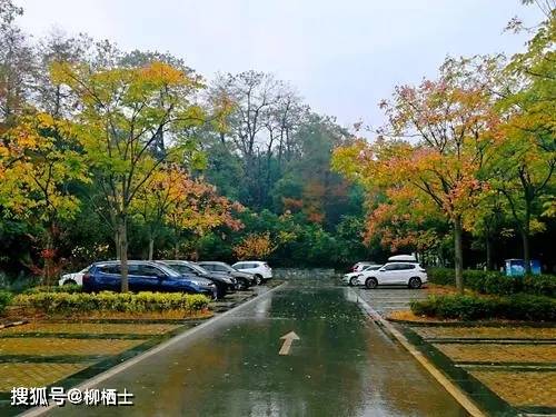 高考575分被赶出家门，家庭教育该补哪堂课？