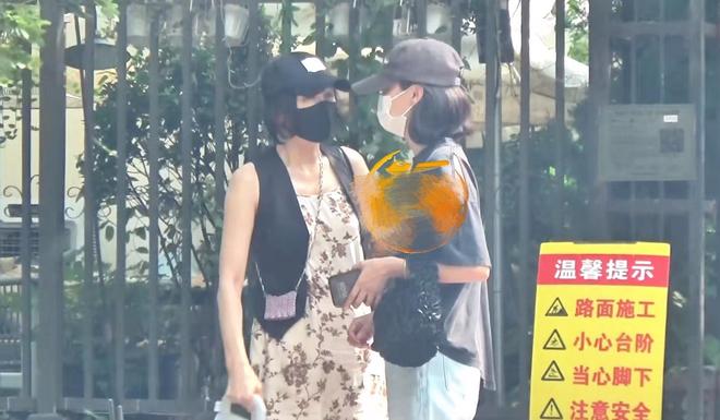 _秦岚没整容之前_王菲与好友聚餐热聊