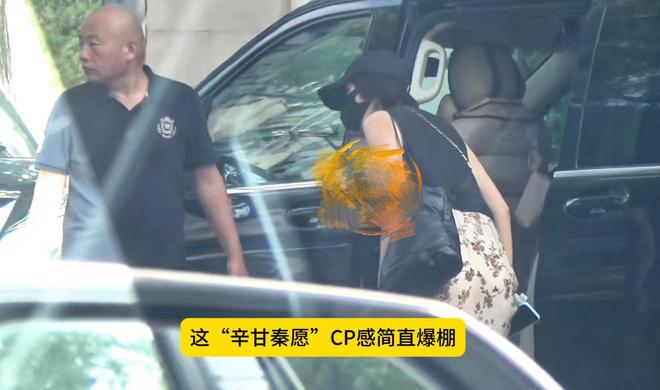 _秦岚没整容之前_王菲与好友聚餐热聊