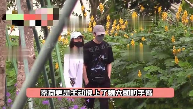 秦岚没整容之前__王菲与好友聚餐热聊