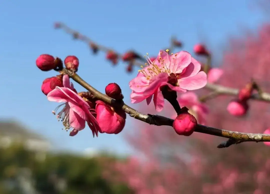 _留学学费太贵_留学学费太贵交不起怎么办