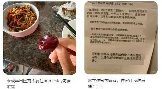 _8天的游学之旅，一死亡一被捕，中产家庭的富养错了吗？_8天的游学之旅，一死亡一被捕，中产家庭的富养错了吗？
