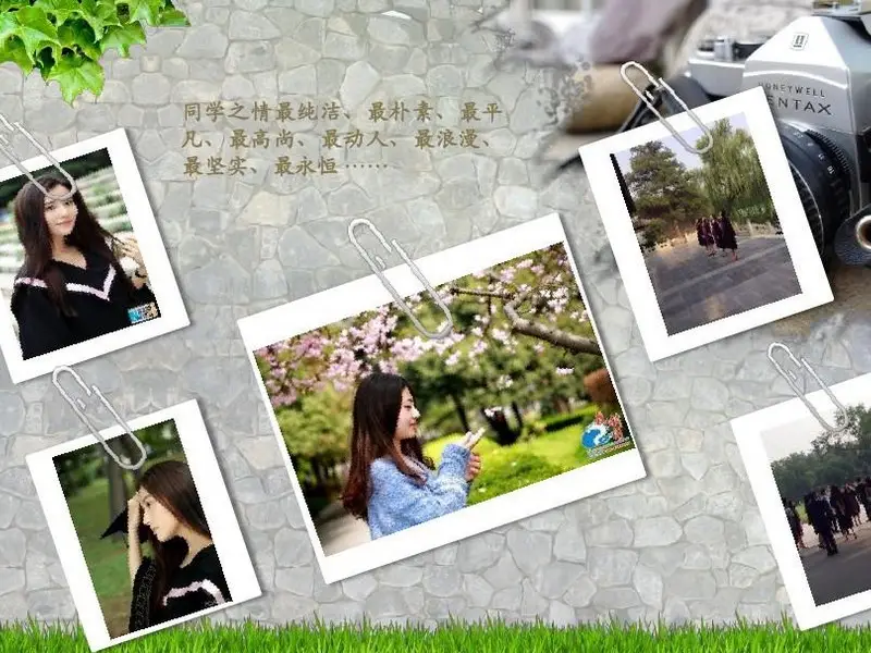 吉林医药成人自考本科__吉林成人高考官网查询