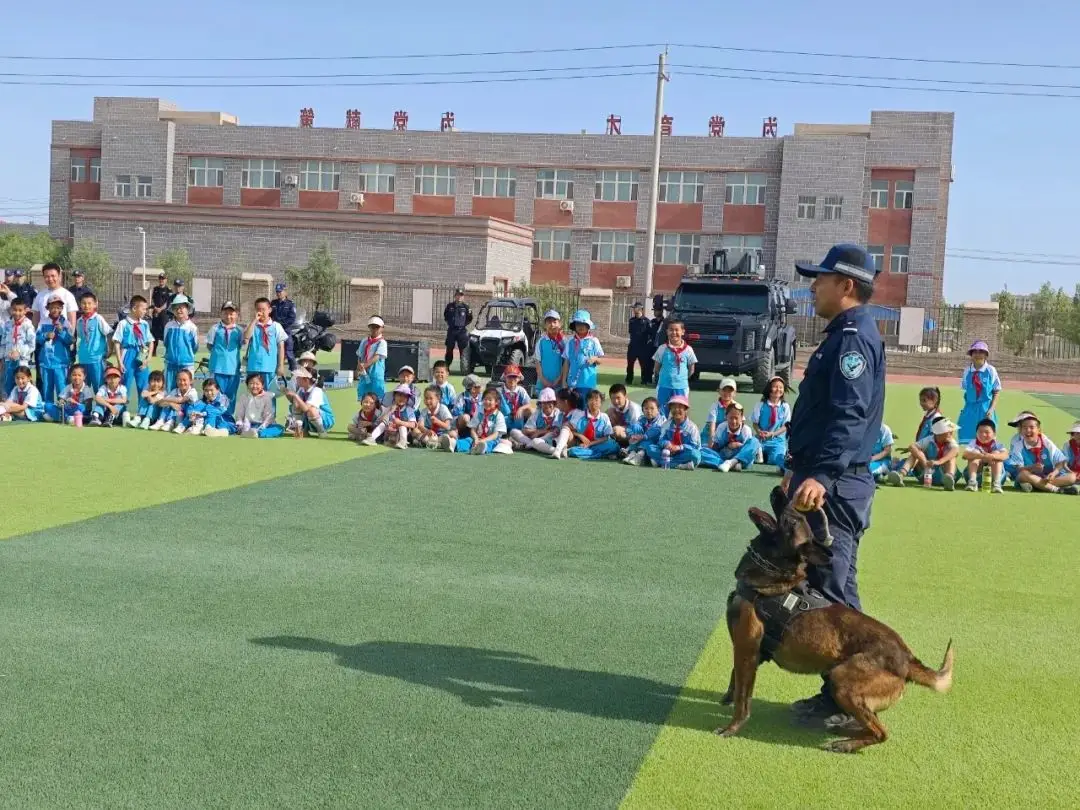 少年警校训练内容__少年警训