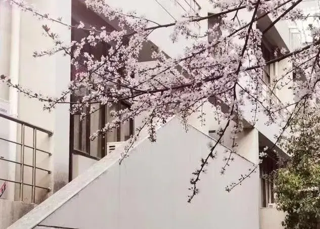 _考研失败后留学_考研失利出国留学