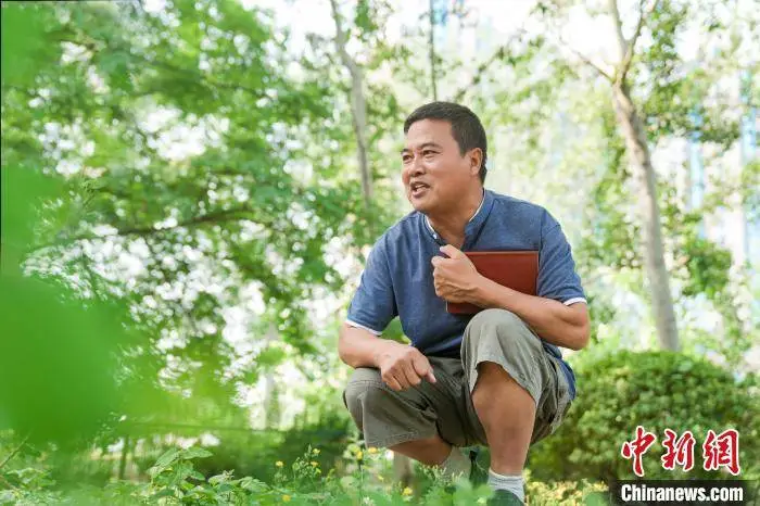 南开大学教授石福臣：行走的“草木教科书” 乐在其中的自然守护者