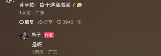 _杨子黄圣依相差几岁_杨子跟黄圣依的故事