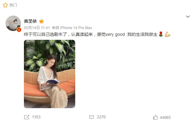 _杨子黄圣依相差几岁_杨子跟黄圣依的故事
