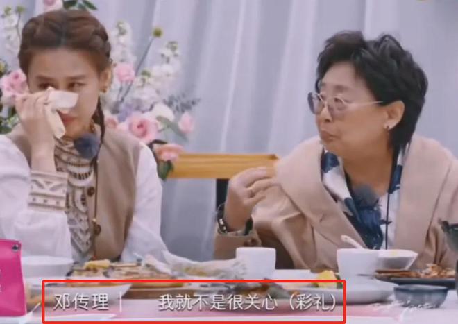 杨子黄圣依相差几岁_杨子跟黄圣依的故事_