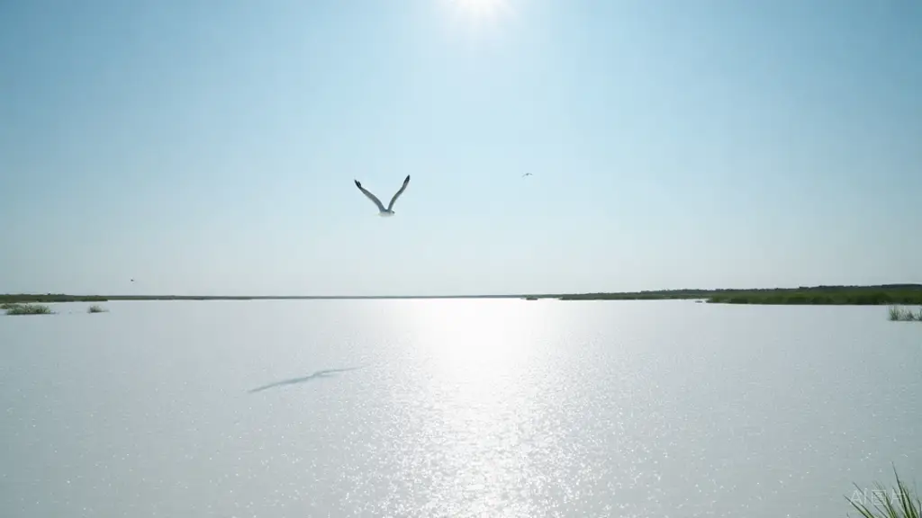 湖泊地理题高中_高考地理微专题湖泊_