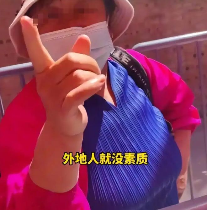 网络说公交大妈_大妈公交骂人被打_