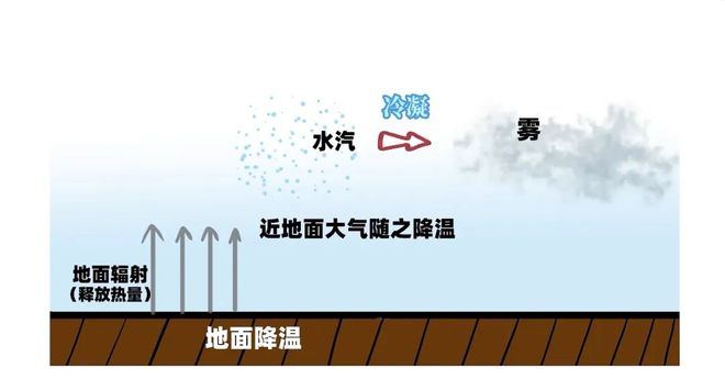 高中地理雾专题_高考地理小专题雾_