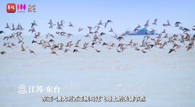 远方山水画_远方山水_