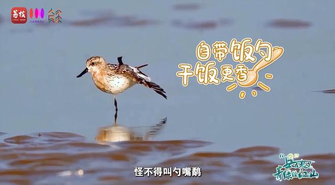 远方山水_远方山水画_