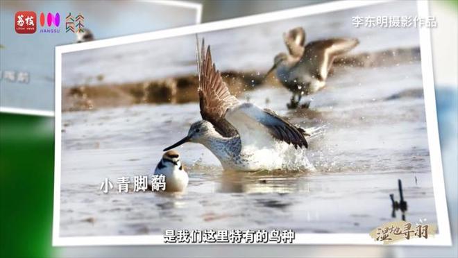_远方山水_远方山水画