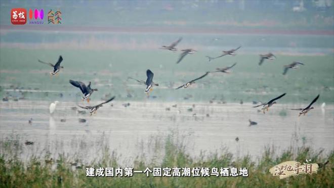 _远方山水_远方山水画