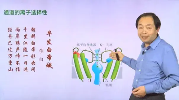北京大学教授考评_北大教授学历要求_