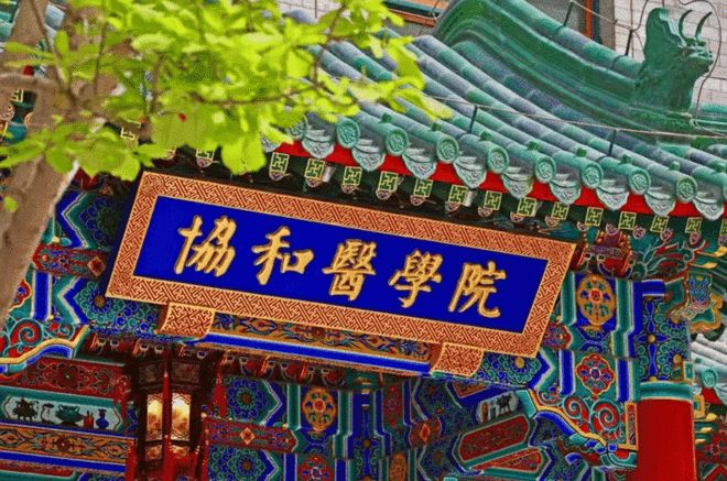 成绩单造假学位论文抄袭 董某莹肖某事件5家机构19人被问责