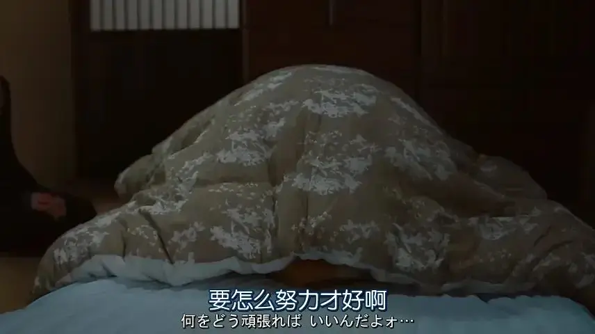 我在名校读博士，我的生活完蛋了