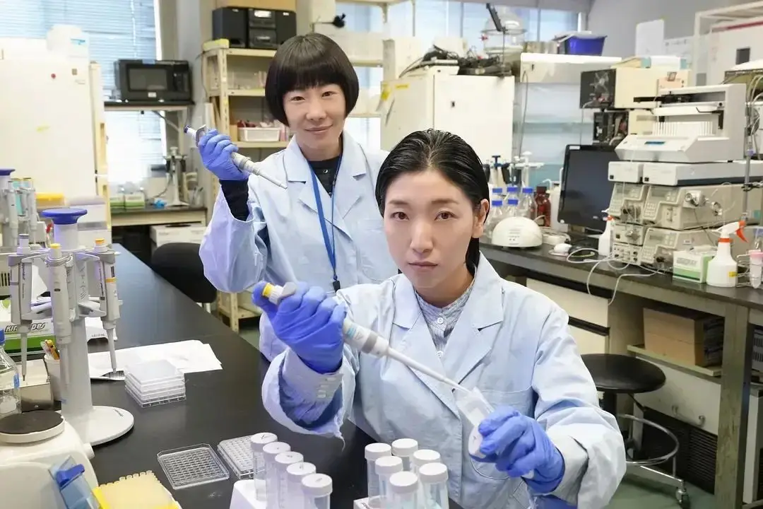 名校博士好考吗__名校读博容易吗