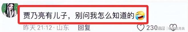 _李小璐漂亮_李小璐魅力
