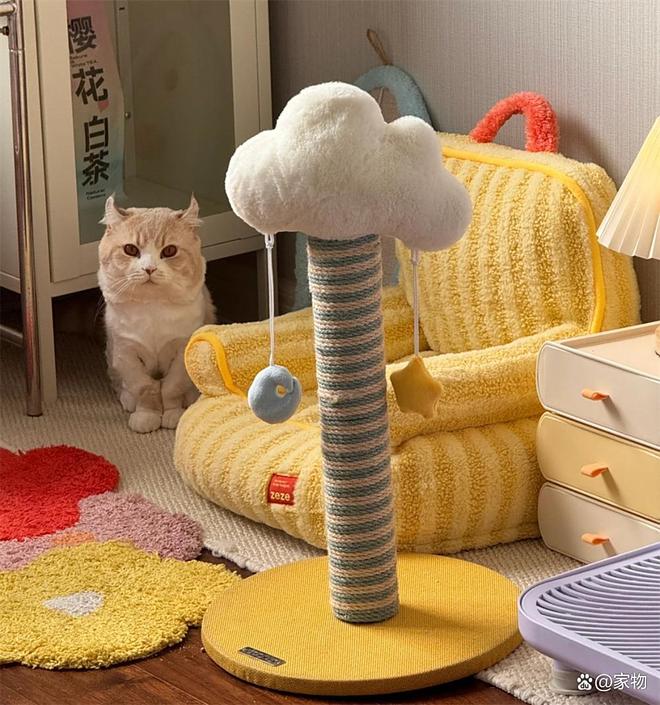 杭州姑娘家的6㎡“次卧猫房”火了，猫住得开心，还不用担心掉毛__杭州姑娘家的6㎡“次卧猫房”火了，猫住得开心，还不用担心掉毛