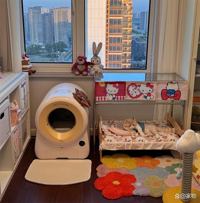 _杭州姑娘家的6㎡“次卧猫房”火了，猫住得开心，还不用担心掉毛_杭州姑娘家的6㎡“次卧猫房”火了，猫住得开心，还不用担心掉毛
