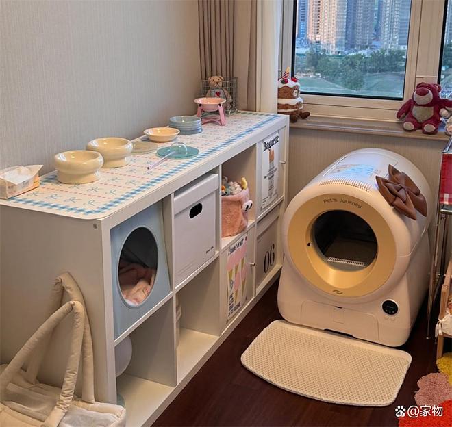 杭州姑娘家的6㎡“次卧猫房”火了，猫住得开心，还不用担心掉毛__杭州姑娘家的6㎡“次卧猫房”火了，猫住得开心，还不用担心掉毛