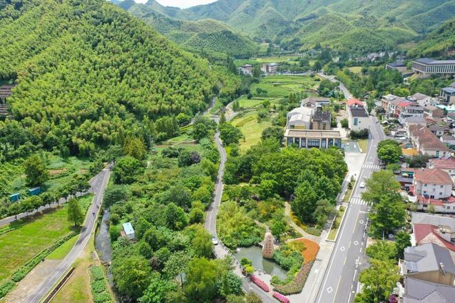 _对青山镇书记_南阳吉祥结油长张青山