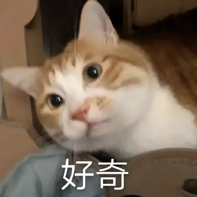 研究生报考公务员考试，更有优势？