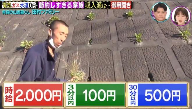 _最强一家：房子自己盖，水电气一分不花，孩子三岁了没生过病！_最强一家：房子自己盖，水电气一分不花，孩子三岁了没生过病！