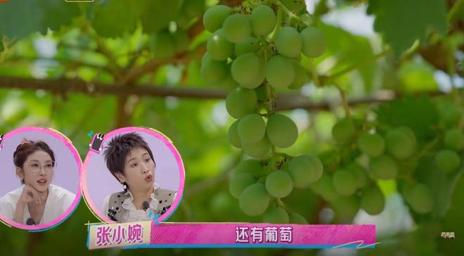 农村人种菜养鸡的说说怎么写_农场种菜养鸡游戏_