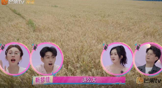 农场种菜养鸡游戏__农村人种菜养鸡的说说怎么写